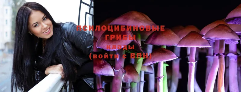 Галлюциногенные грибы MAGIC MUSHROOMS  OMG ссылка  мориарти наркотические препараты  Вилюйск 